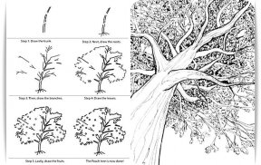 Learn to Draw Trees screenshot 0