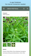 Edible Wild Plants screenshot 2