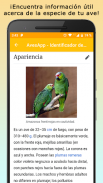 AvesID - Identifica aves screenshot 9