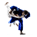 Jiu Jitsu Guide - Baixar APK para Android | Aptoide