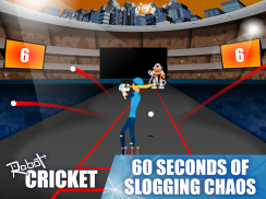 Robot Cricket screenshot 4