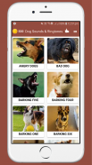 Dog Sounds Ringtones screenshot 1