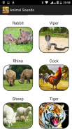 Animal Sounds (sounds and pictures) screenshot 6