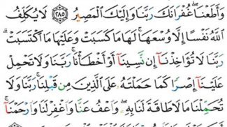القرآن كامل بدون انترنت- تجويد screenshot 4