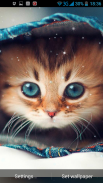 Kittens Live Wallpaper screenshot 4