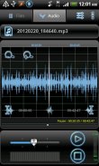 RecForge Pro - Audio Recorder screenshot 2