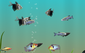 MyLake 3D Aquarium screenshot 2