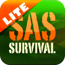 SAS Survival Guide - Lite