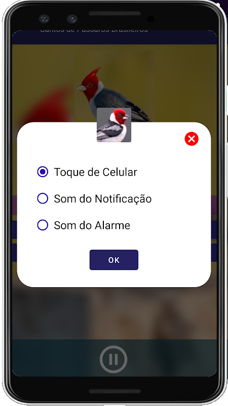 Descarga de APK de Canto de Papa-Capim Tui Tui Puro Grátis para Android