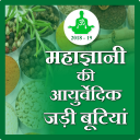 Maha gyani ki ayurvedicjadibutiya