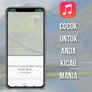 Masteran Cucak Ijo Gacor screenshot 1