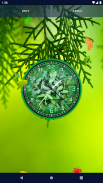 Forest Leaves Clock Wallpaper screenshot 9