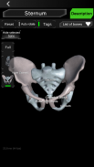 Osseous System in 3D (Anatomy) screenshot 7