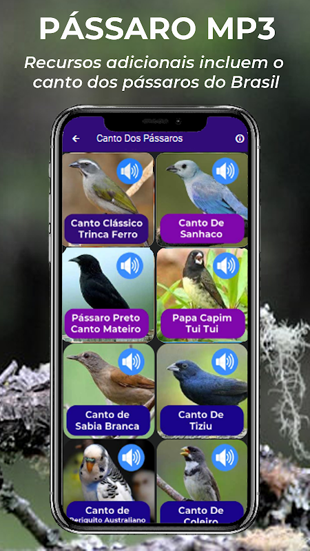 Canto De Papa Capim for Android - Free App Download