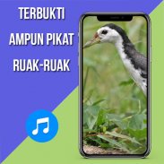 Suara Pemikat Ruak Ruak Ampuh screenshot 2