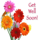 Get Well Soon: Greetings, GIF Wishes, SMS Quotes