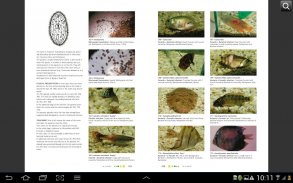 Fish Diseases screenshot 12