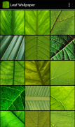 Leaf Wallpaper screenshot 4