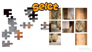 Cat puzzle screenshot 0