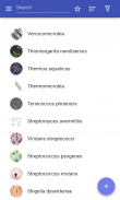 Bacteria screenshot 7