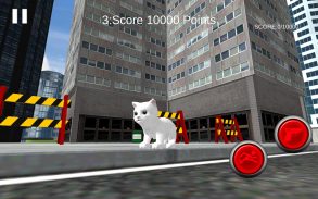 Neko Simulator NekoZ screenshot 5