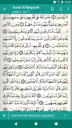 Quran Qaloon  قرآن قراءة قالون screenshot 8