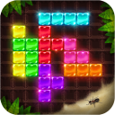 Block Puzzle: Fauna style Icon