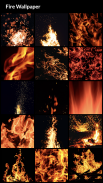 Fire Wallpapers screenshot 1