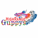 Highrange Guppy