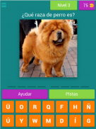 ALL QUIZ: Razas de perro screenshot 11