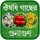 Herbal Medicine Bangla - ভেষজ