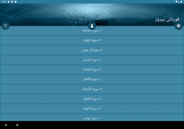 Kurdish Quran Offline screenshot 8