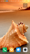 Seashell wallpaper HD screenshot 11