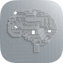 Brain Skills Icon