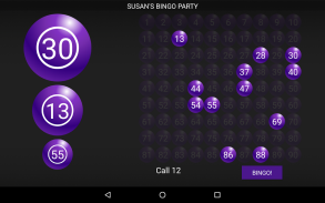 Bingo Caller Machine screenshot 12