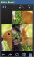 Slide Puzzle - Animal screenshot 1