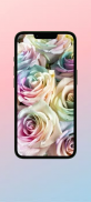 Rainbow Rose WalL screenshot 3