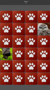 Pairs: Animals screenshot 8