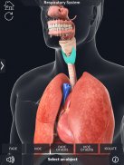 Respiratory System Anatomy Pro. screenshot 0