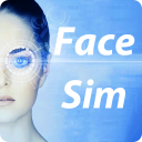 Simulazione viso - FaceSim Icon