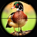 Island Birds Sniper Shooter