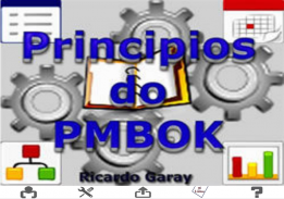 Princípios do PMBOK screenshot 6