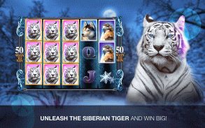 Slots Super Tiger Pokies screenshot 4