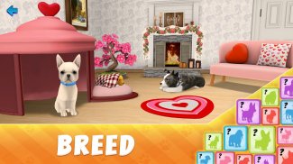 Dog Town: Jogos de Animais, Jogue e Cuide Cachorro screenshot 2