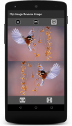 Flip Image : Horizontal Flip / Vertical Flip screenshot 1