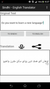 Sindhi - English Translator screenshot 5