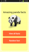 Amazing Panda Facts screenshot 0