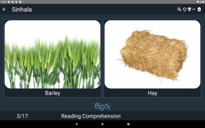 Sinhala Language Tests screenshot 22