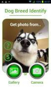 Dog Breed Auto Identify Photo screenshot 0