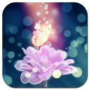 Butterfly Wallpapers